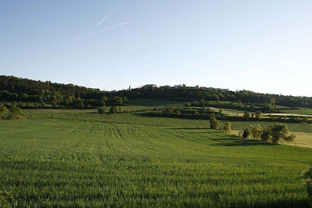Masia Cal Millas - Turisme Rural Castellfullit de Riubregos Kültér fotó