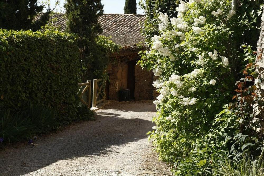 Masia Cal Millas - Turisme Rural Castellfullit de Riubregos Kültér fotó