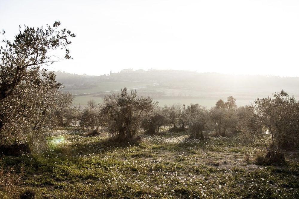 Masia Cal Millas - Turisme Rural Castellfullit de Riubregos Kültér fotó