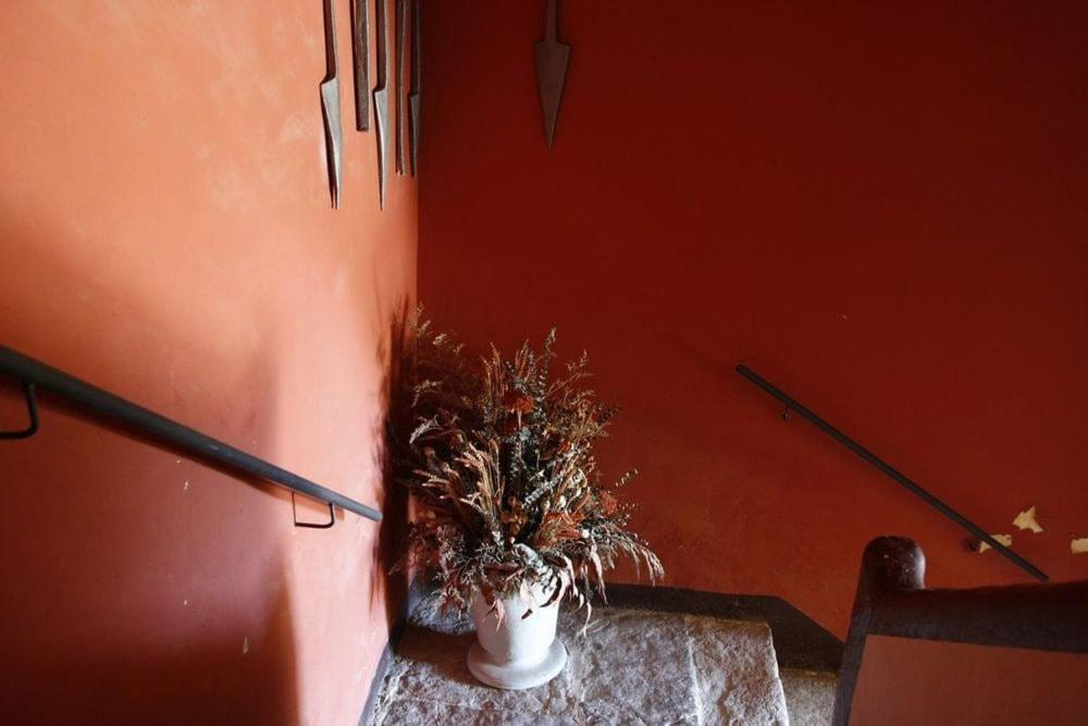 Masia Cal Millas - Turisme Rural Castellfullit de Riubregos Kültér fotó